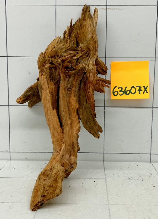 63607X - XINGU Wood Wurzelholz
