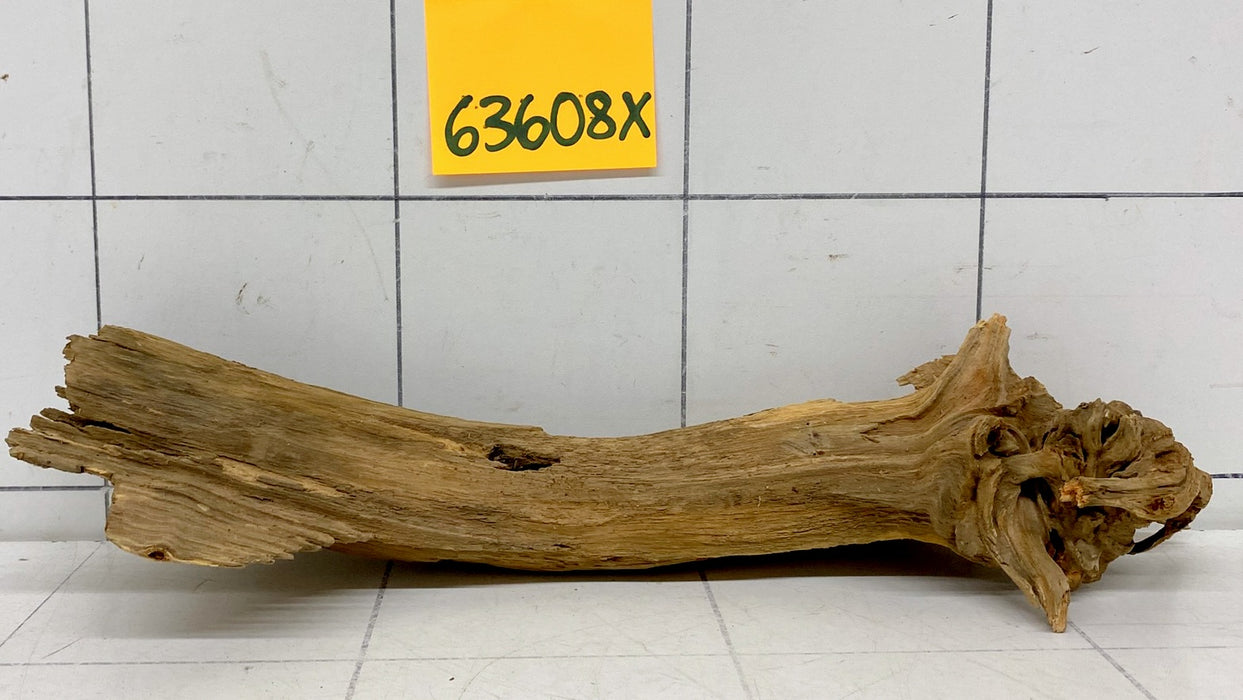 63608X - XINGU Wood Wurzelholz