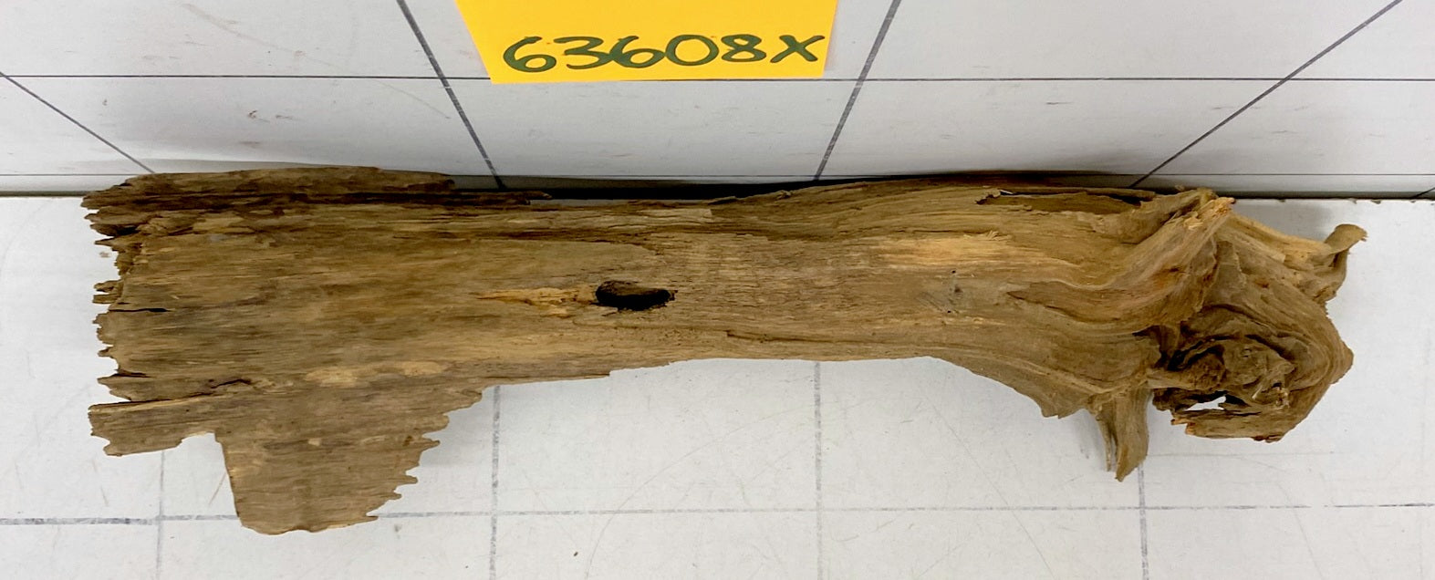 63608X - XINGU Wood Wurzelholz