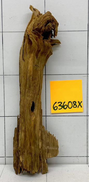 63608X - XINGU Wood Wurzelholz