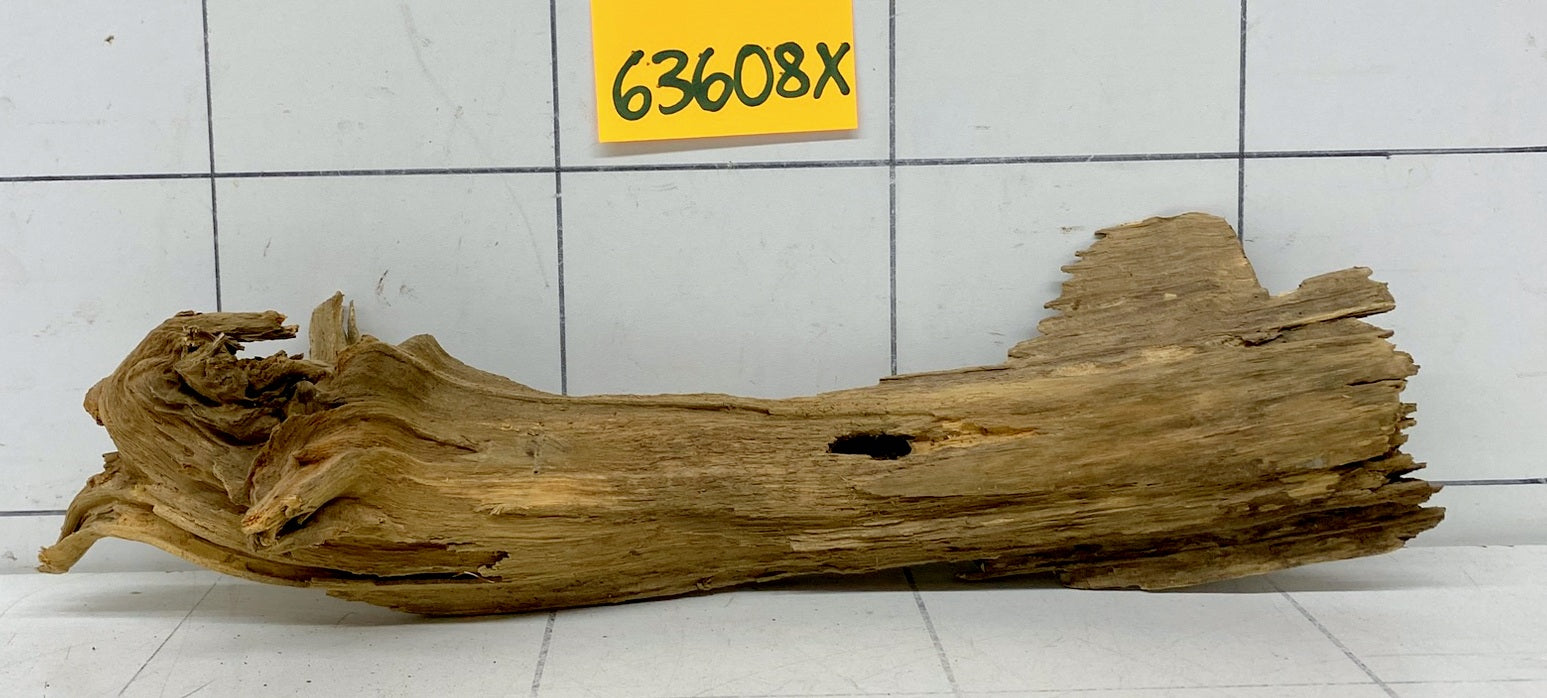 63608X - XINGU Wood Wurzelholz