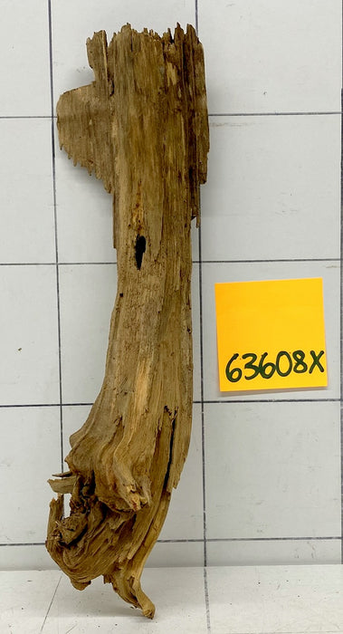 63608X - XINGU Wood Wurzelholz