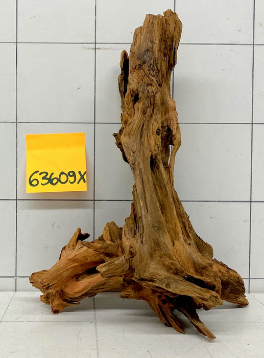 63609X - XINGU Wood Wurzelholz