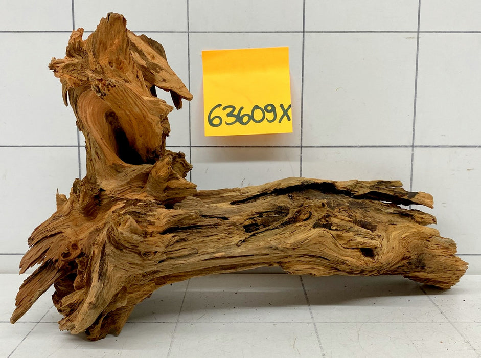 63609X - XINGU Wood Wurzelholz