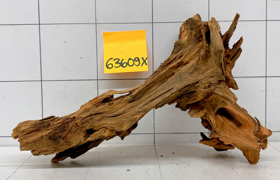 63609X - XINGU Wood Wurzelholz