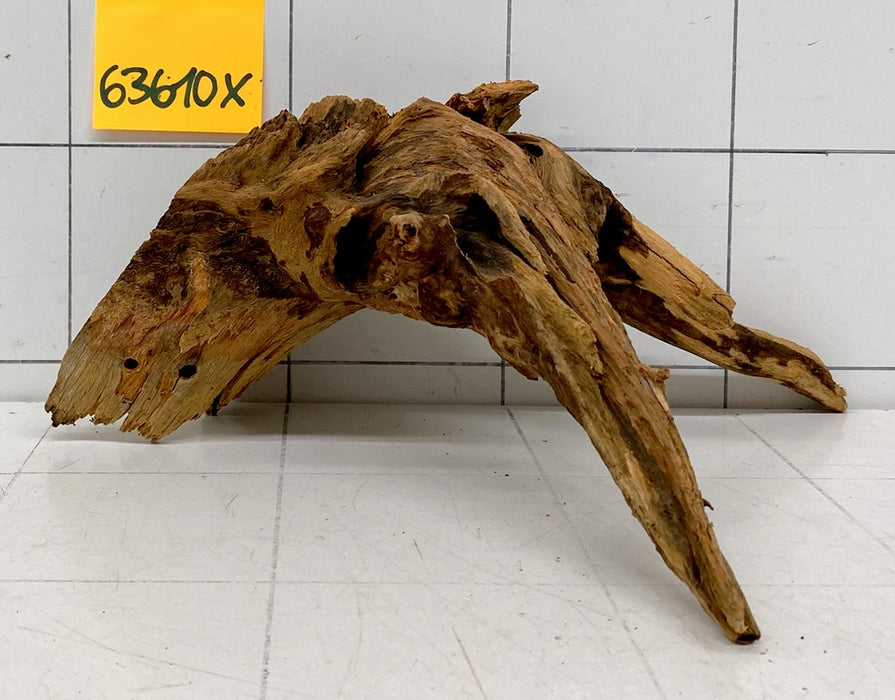 63610X - XINGU Wood Wurzelholz