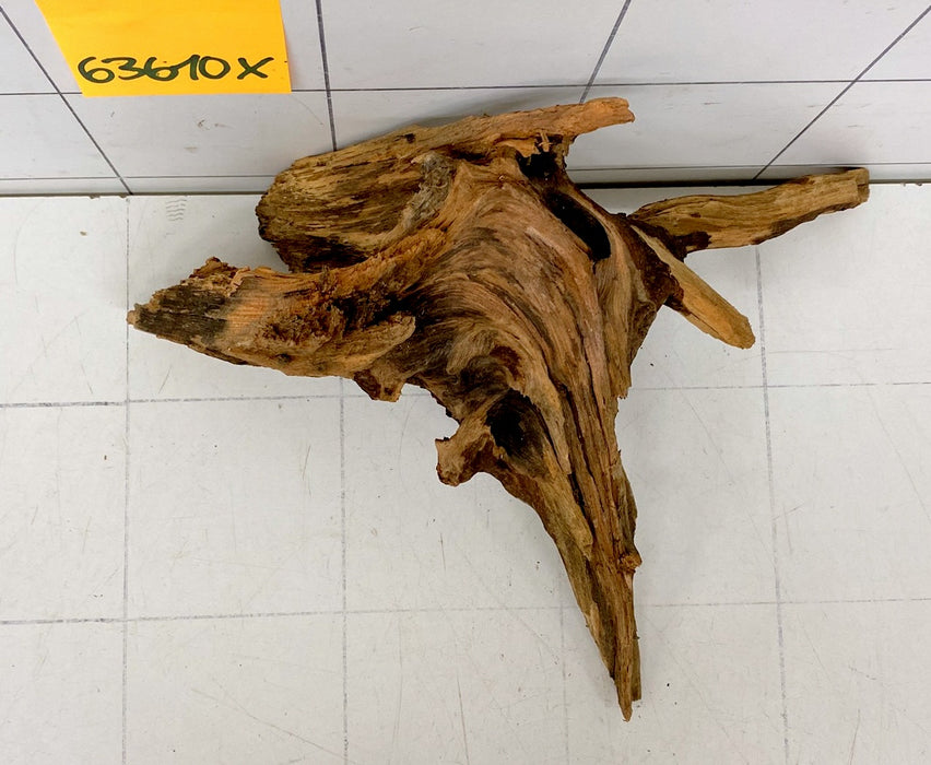 63610X - XINGU Wood Wurzelholz