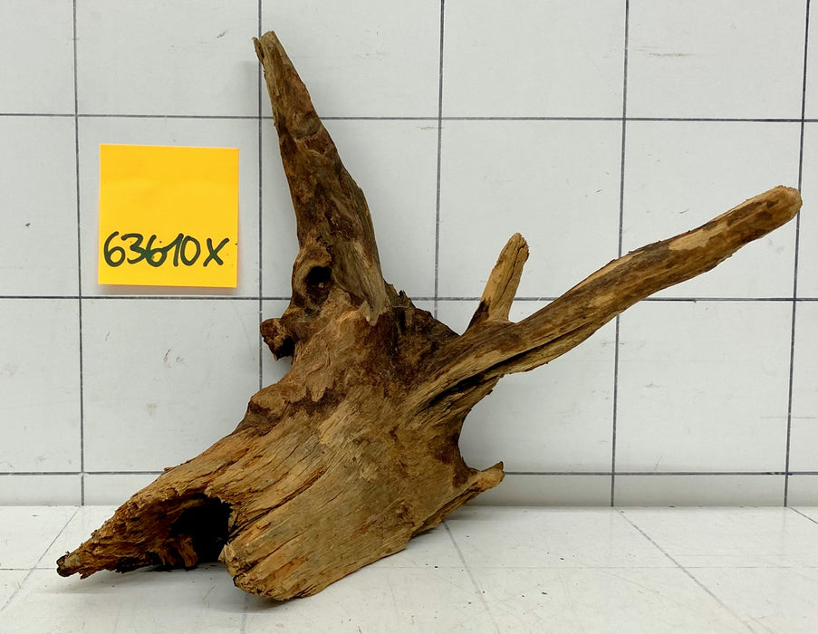 63610X - XINGU Wood Wurzelholz