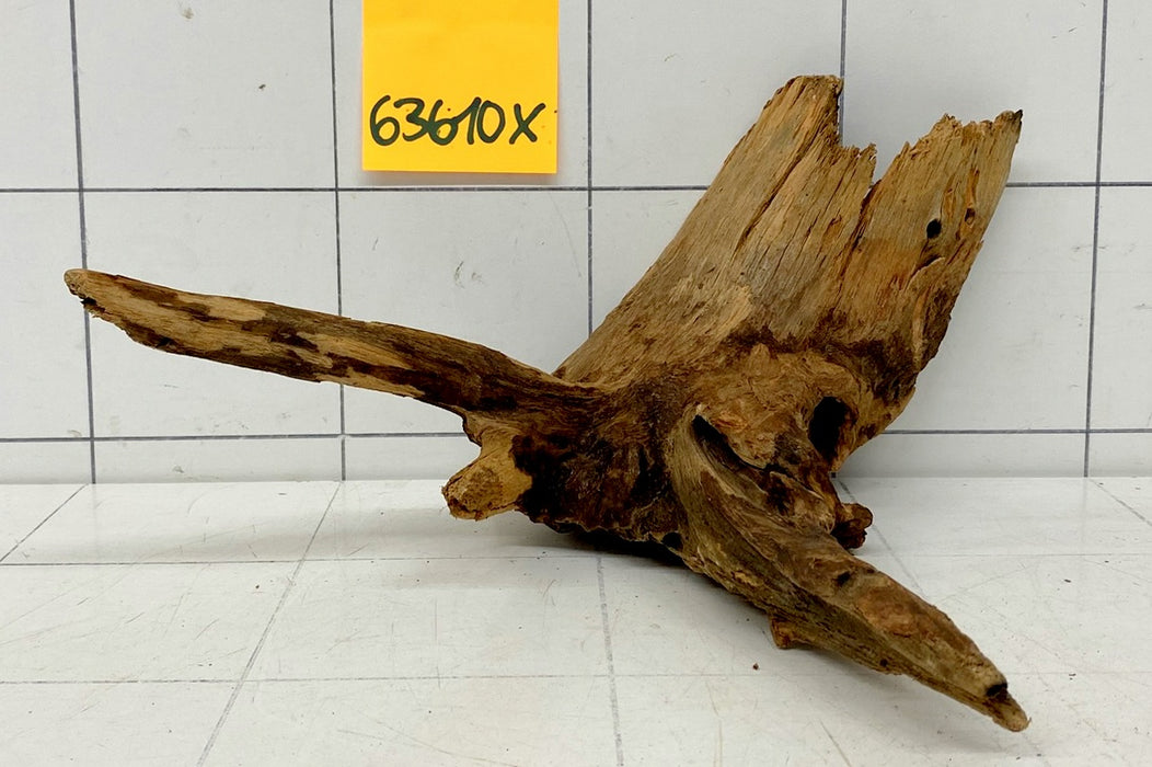 63610X - XINGU Wood Wurzelholz
