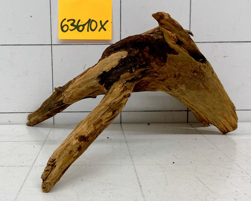 63610X - XINGU Wood Wurzelholz
