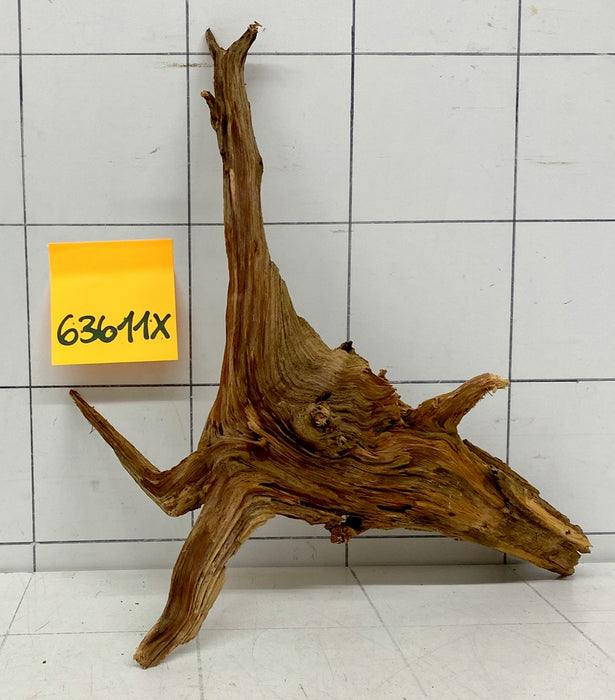 63611X - XINGU Wood Wurzelholz
