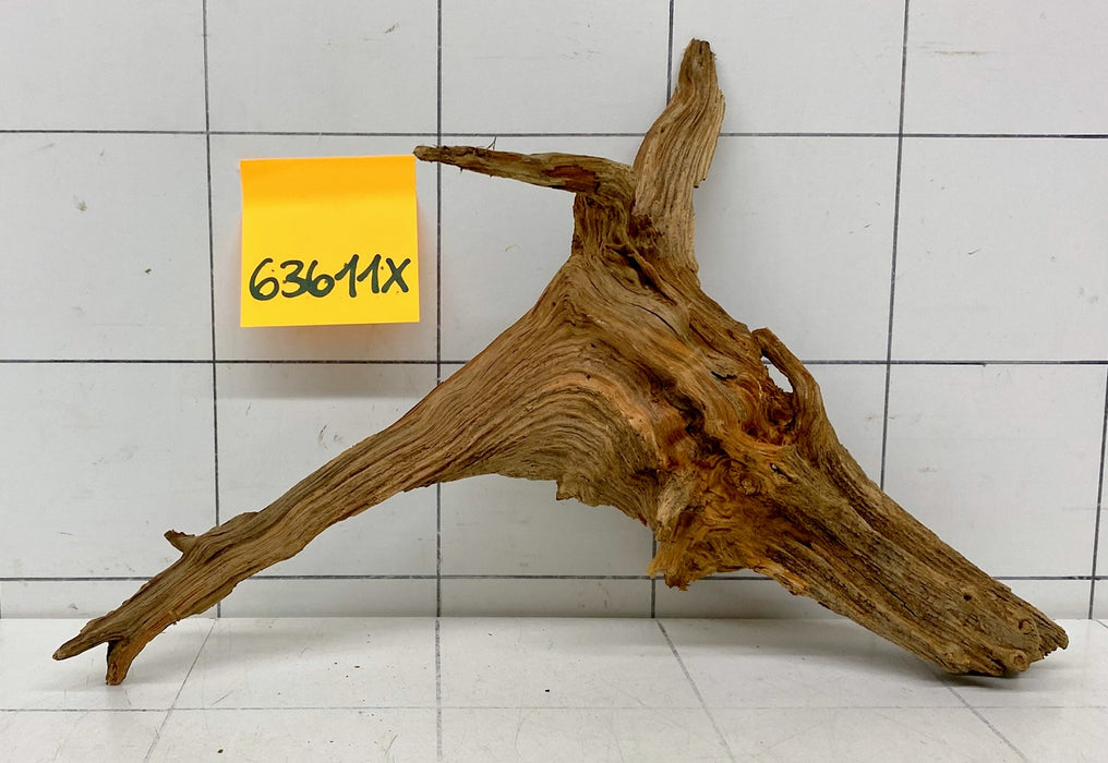 63611X - XINGU Wood Wurzelholz