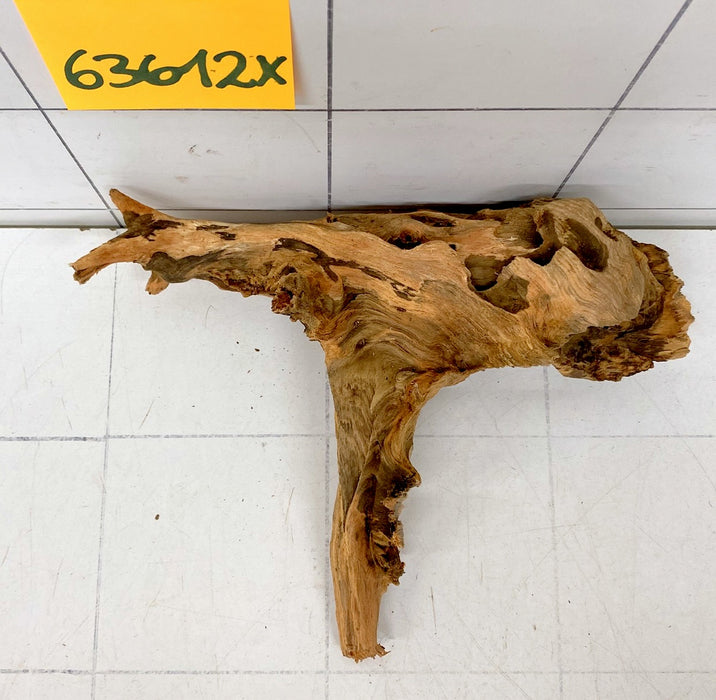 63612X - XINGU Wood Wurzelholz