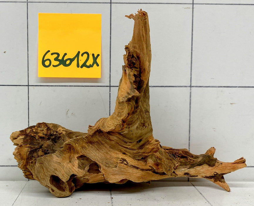 63612X - XINGU Wood Wurzelholz