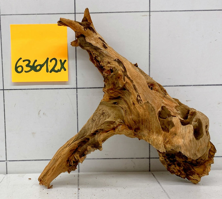 63612X - XINGU Wood Wurzelholz