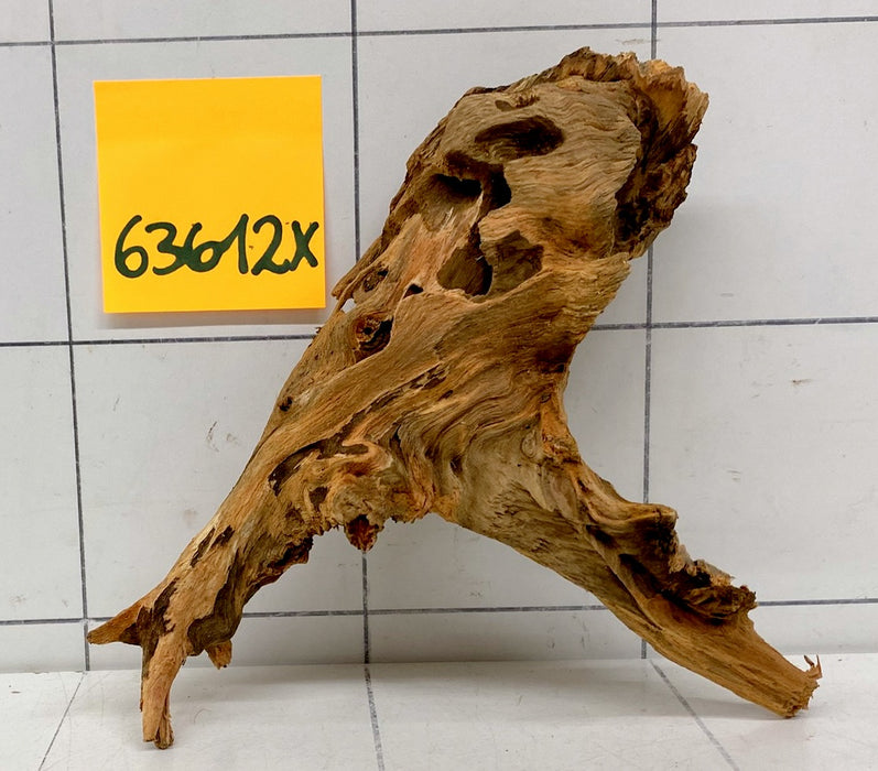 63612X - XINGU Wood Wurzelholz
