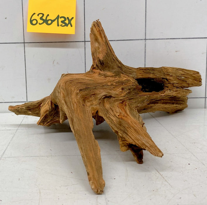 63613X - XINGU Wood Wurzelholz