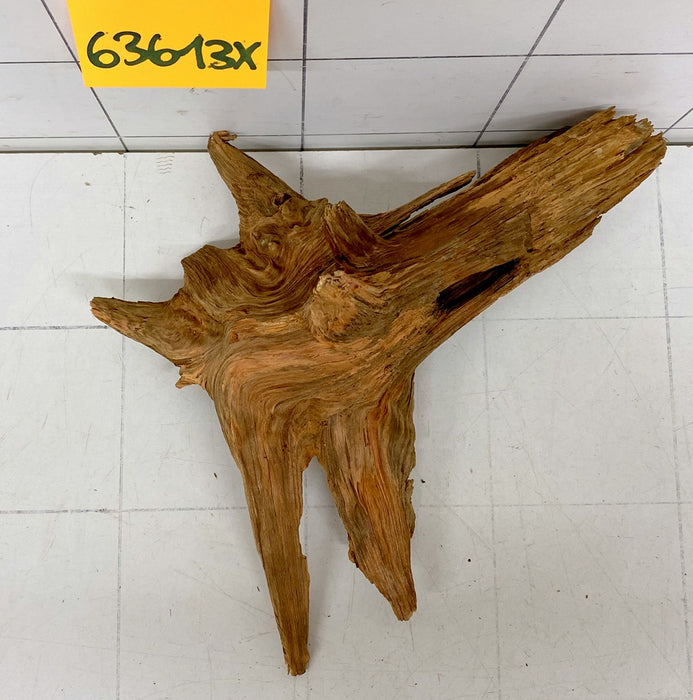 63613X - XINGU Wood Wurzelholz