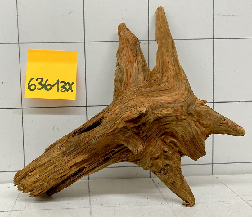 63613X - XINGU Wood Wurzelholz