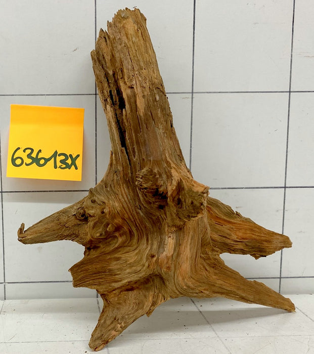 63613X - XINGU Wood Wurzelholz