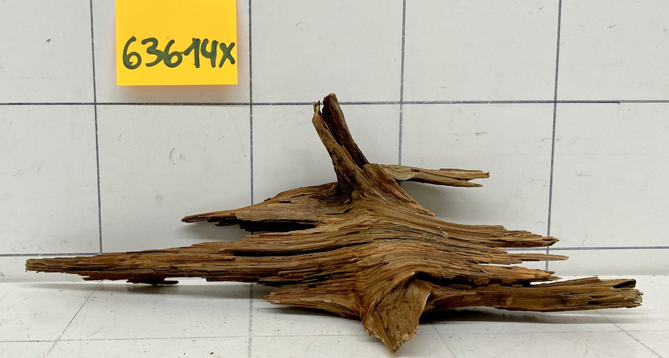 63614X - XINGU Wood Wurzelholz