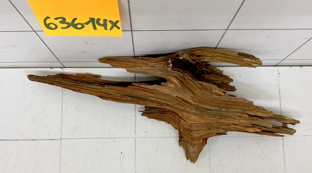 63614X - XINGU Wood Wurzelholz