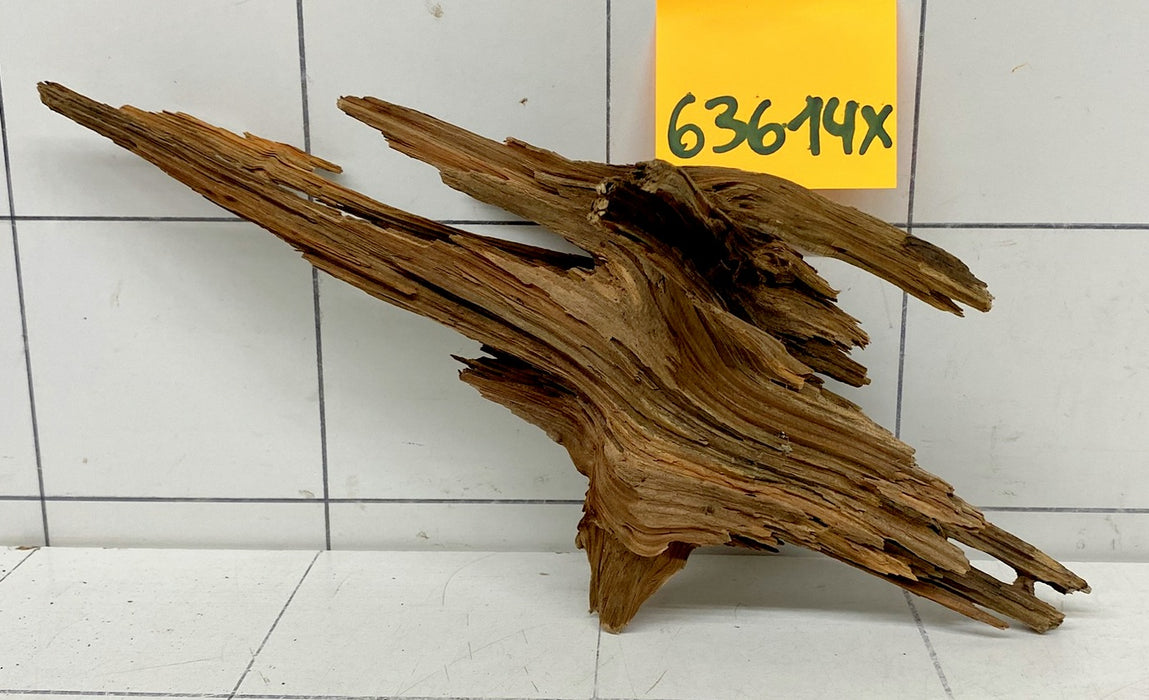 63614X - XINGU Wood Wurzelholz