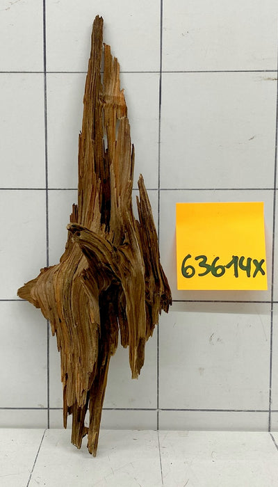 63614X - XINGU Wood Wurzelholz