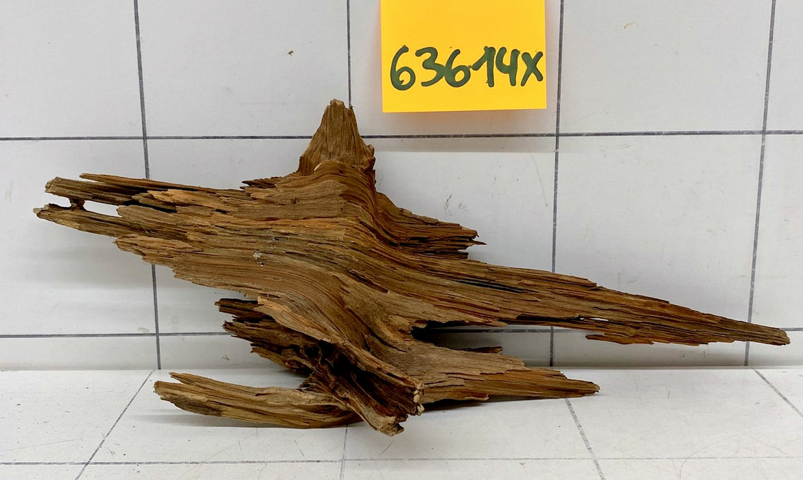 63614X - XINGU Wood Wurzelholz