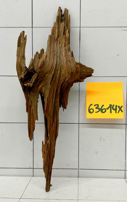 63614X - XINGU Wood Wurzelholz