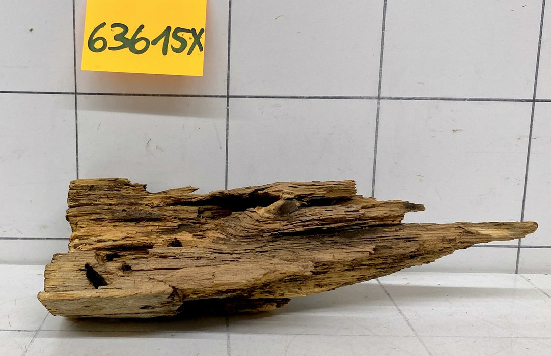 63615X - XINGU Wood Wurzelholz