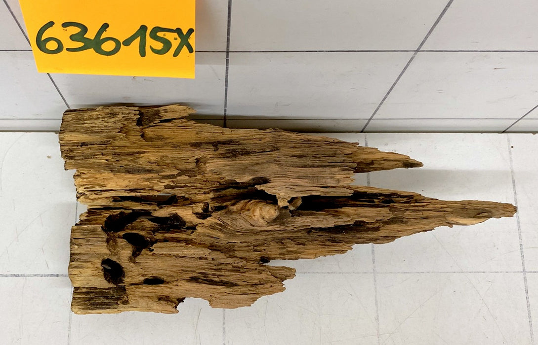 63615X - XINGU Wood Wurzelholz