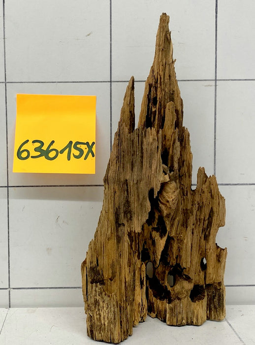 63615X - XINGU Wood Wurzelholz
