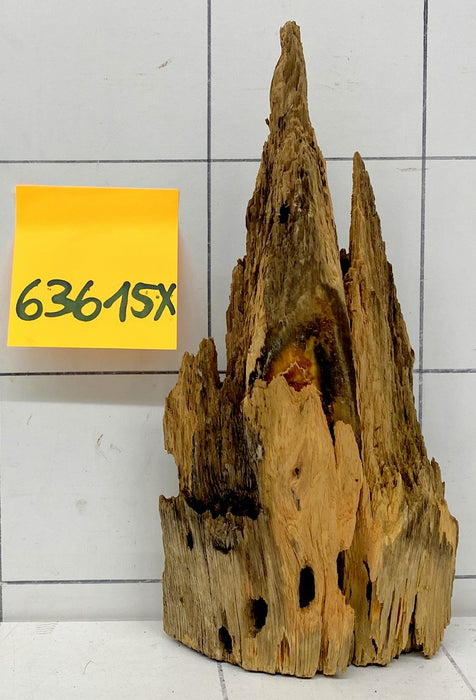 63615X - XINGU Wood Wurzelholz