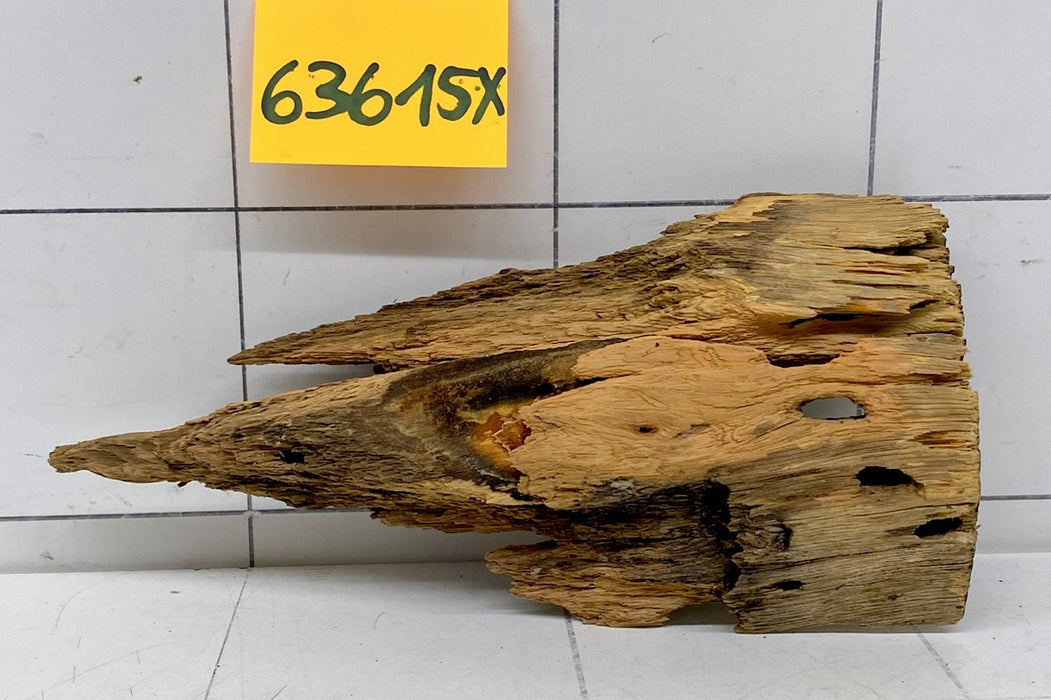 63615X - XINGU Wood Wurzelholz