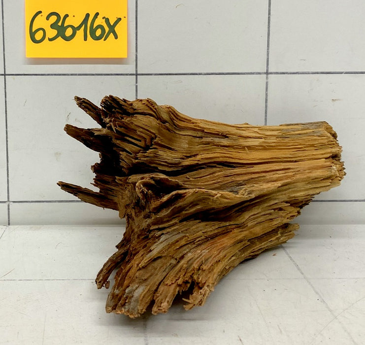 63616X - XINGU Wood Wurzelholz