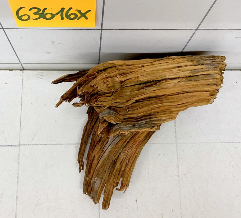 63616X - XINGU Wood Wurzelholz