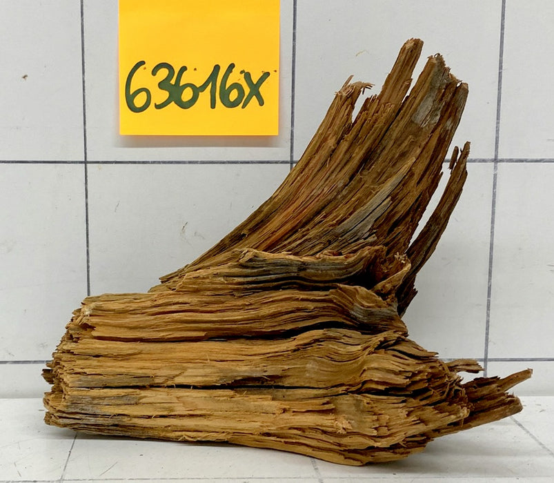 63616X - XINGU Wood Wurzelholz