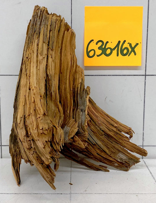 63616X - XINGU Wood Wurzelholz