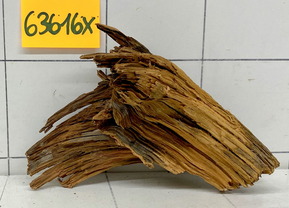 63616X - XINGU Wood Wurzelholz
