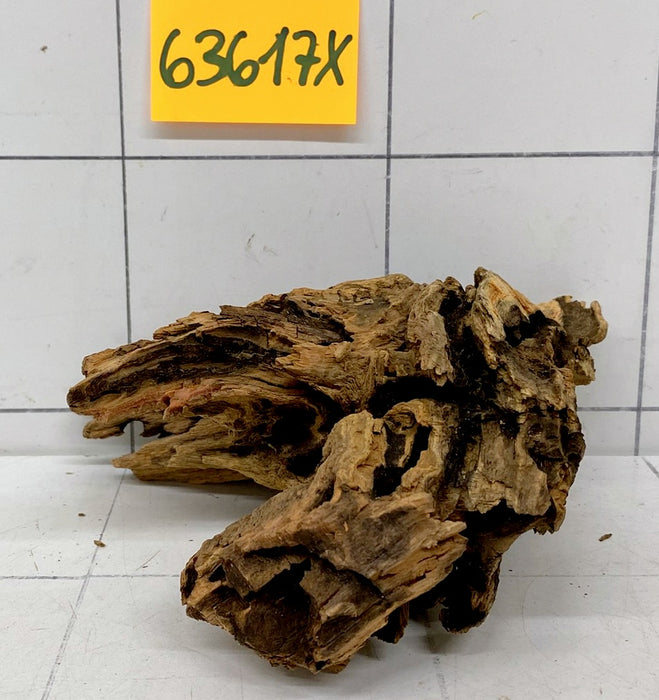 63617X - XINGU Wood Wurzelholz