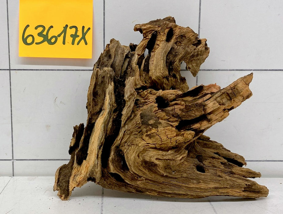 63617X - XINGU Wood Wurzelholz