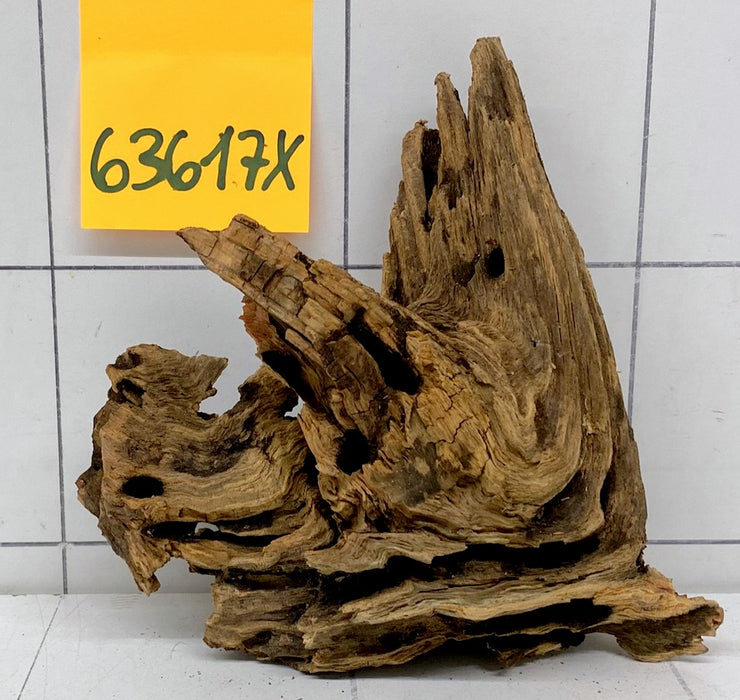 63617X - XINGU Wood Wurzelholz