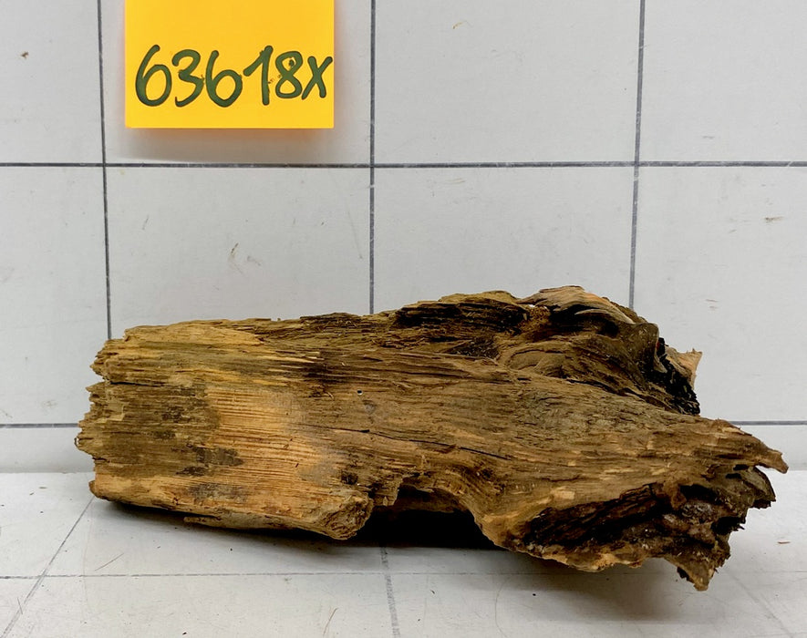 63618X - XINGU Wood Wurzelholz