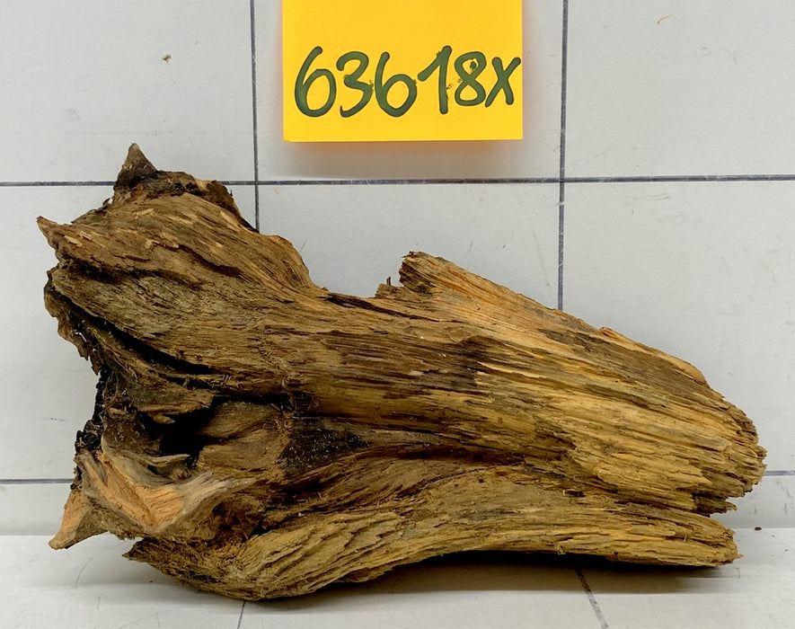 63618X - XINGU Wood Wurzelholz