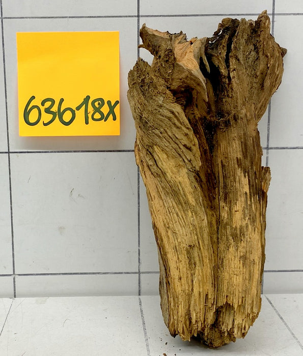 63618X - XINGU Wood Wurzelholz