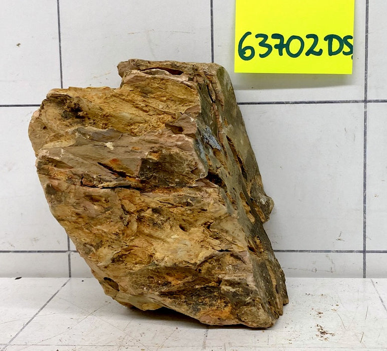 63702DS - Drachenstein