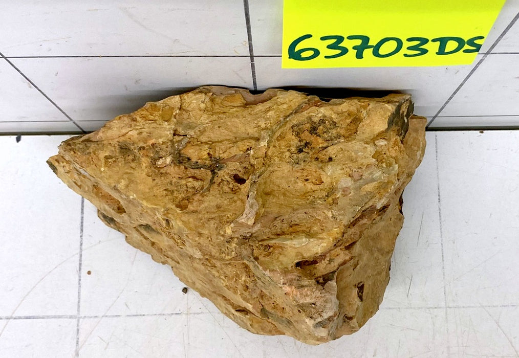 63703DS - Drachenstein
