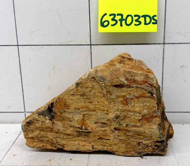 63703DS - Drachenstein
