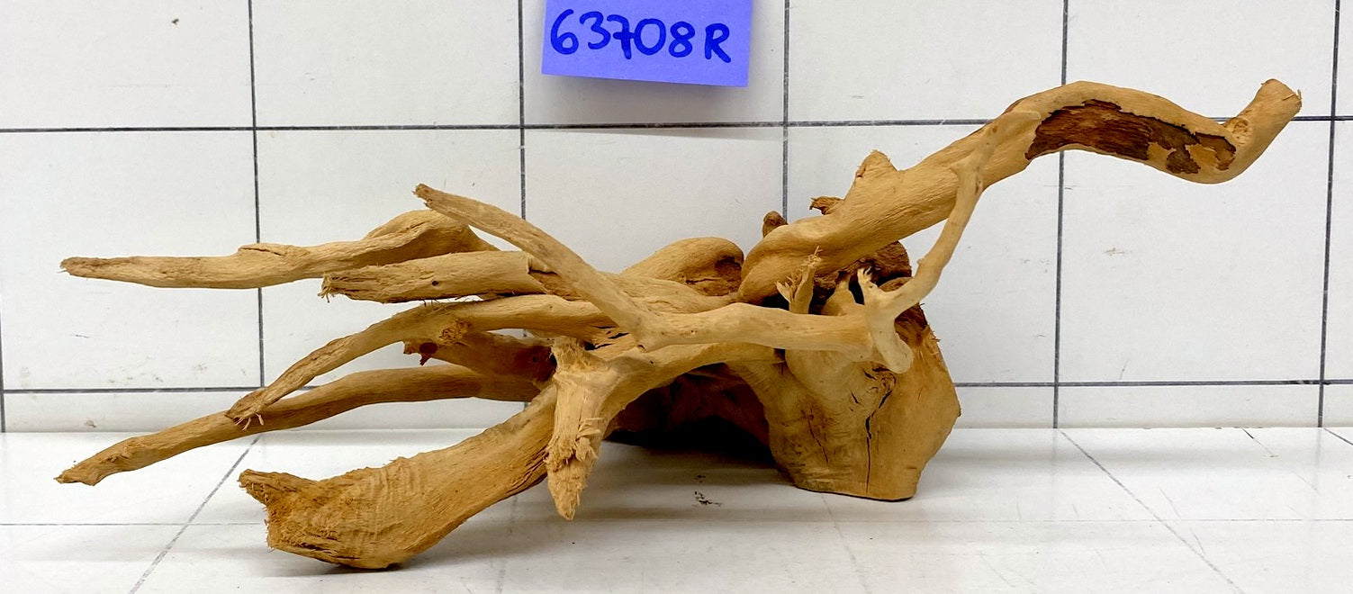 63708R Fingerwood / Rote Moorwurzel Holz